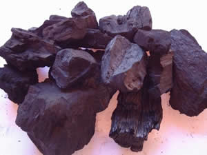Carbón vegetal
