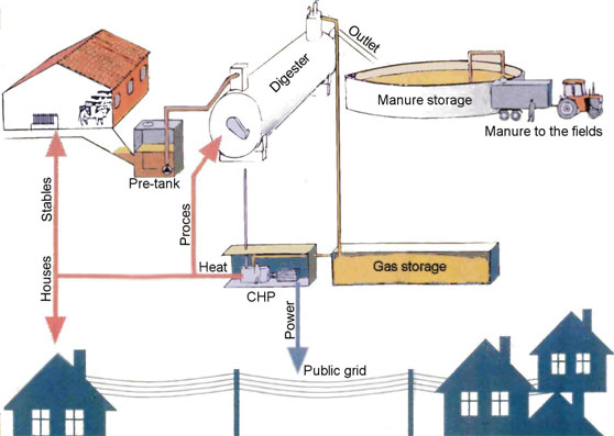 Biogas